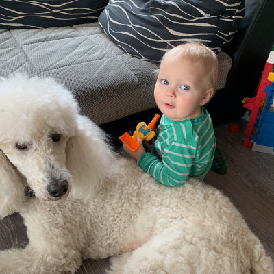 Mit Yoda kuscheln